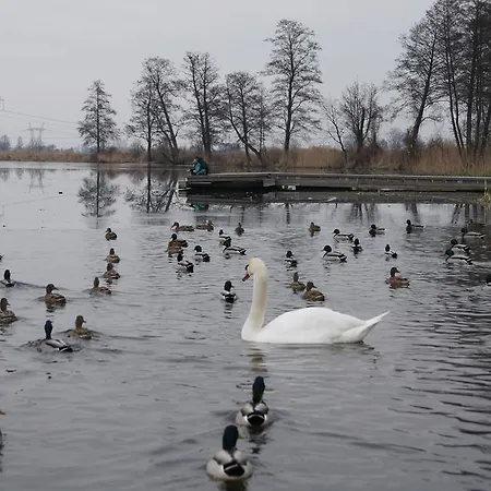 Kryształowy Pałacyk Zajazd *